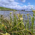 Hotelpension Ewijcksluis Gæstehus